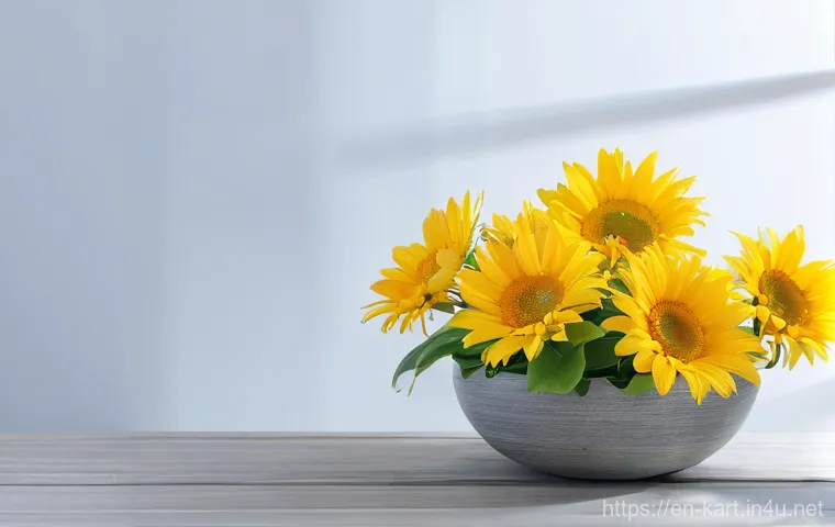 카트라이더 레이싱 대회 참가 관련 이미지 1